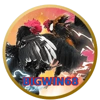BIGWIN68